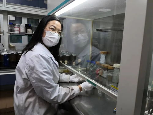 与科研为伴 实验室打卡 他们的春节,很学霸