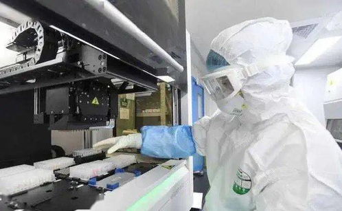 疫情突变 三文鱼案板测出新冠,46人感染 病毒首次出现动物传人,37万生命被扑杀