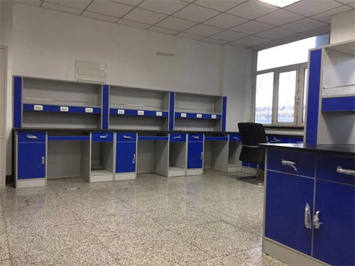 天津pp 实验台批发服务为先 保全实验室设备