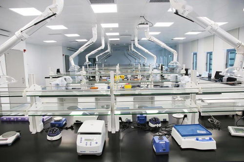 生命与健康科学学院 教学实验室大揭秘