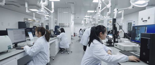 党建引领促发展，万全之测谱新篇——实验室仪器保养服务助力分析测试中心腾飞