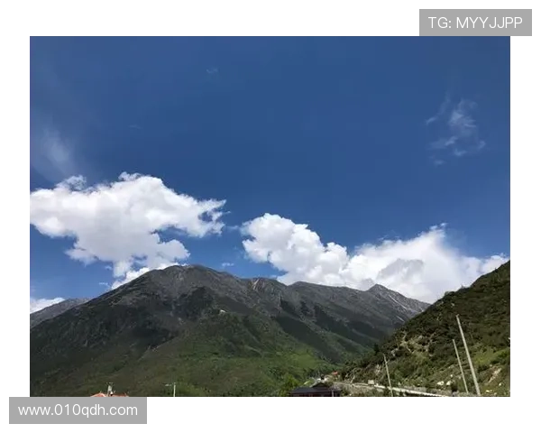 小啊姨踏入繁华影圈追梦之旅揭开家族秘辛谱写荧屏传奇 小啊姨踏入繁华影圈追梦之旅揭开家族秘辛谱写荧屏传奇